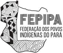 Logo FEPIPA.